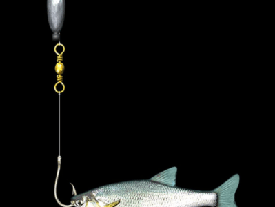 Hook, Line and&nbsp;Stinker