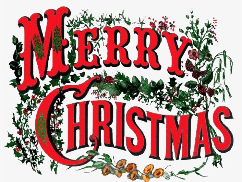 Christmas is coming, the goose is getting…..stolen!